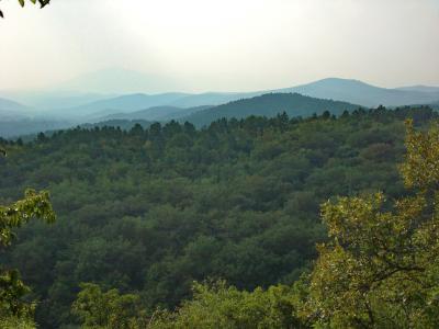 Прикрепленное изображение: DSC00362.jpg